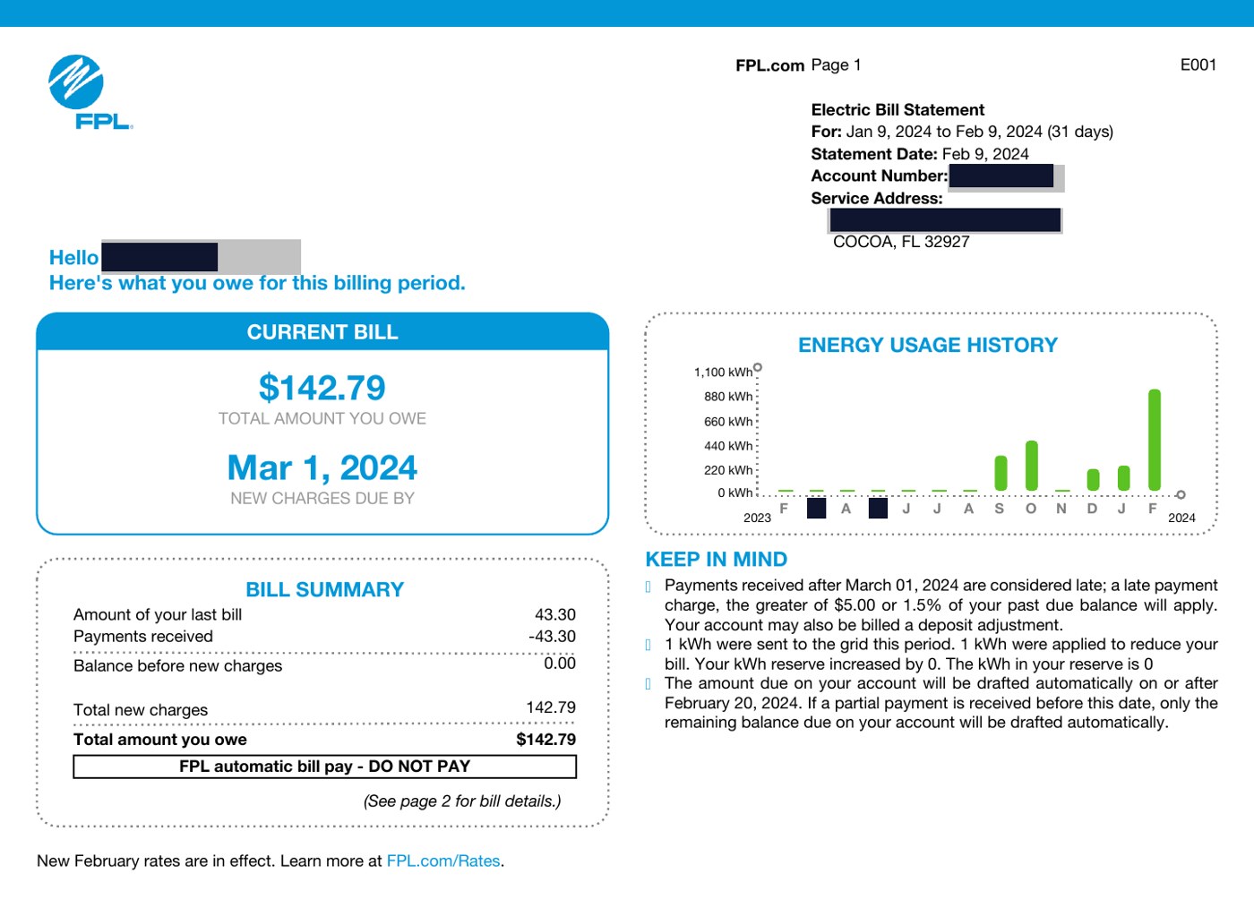 Florida Power and Light electric bill before a solar installation